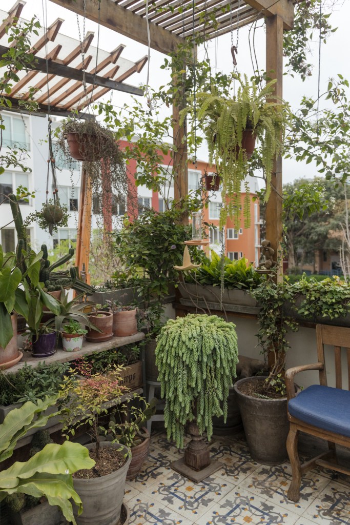 ósmosis-kristie arias 1